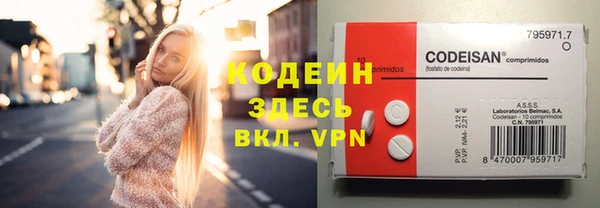 дмт Абаза