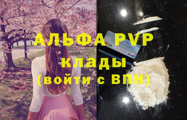 дмт Абаза