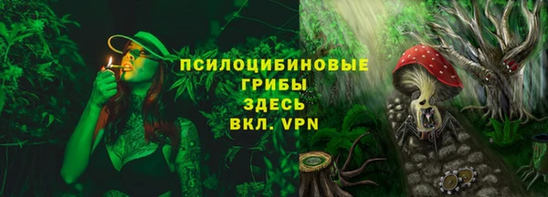 ПСИЛОЦИБИНОВЫЕ ГРИБЫ Абдулино